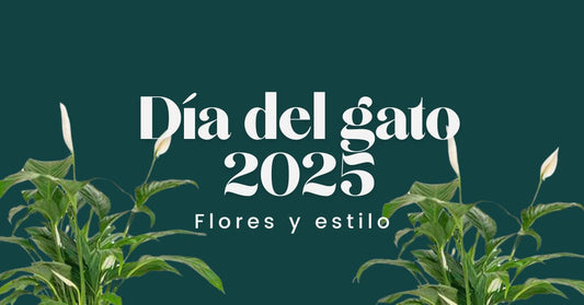 Día del Gato 2025: flores y estilo