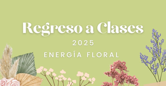 Regreso a clases 2025: energía floral