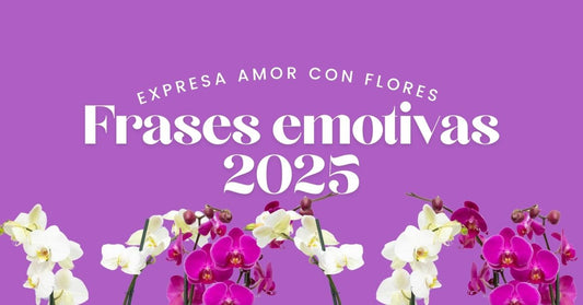 Frases emotivas 2025: expresa amor con flores