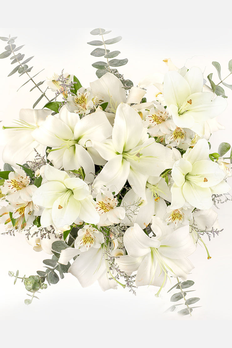 Algodón // Lilium Blanca y Astromelia Blanca APO