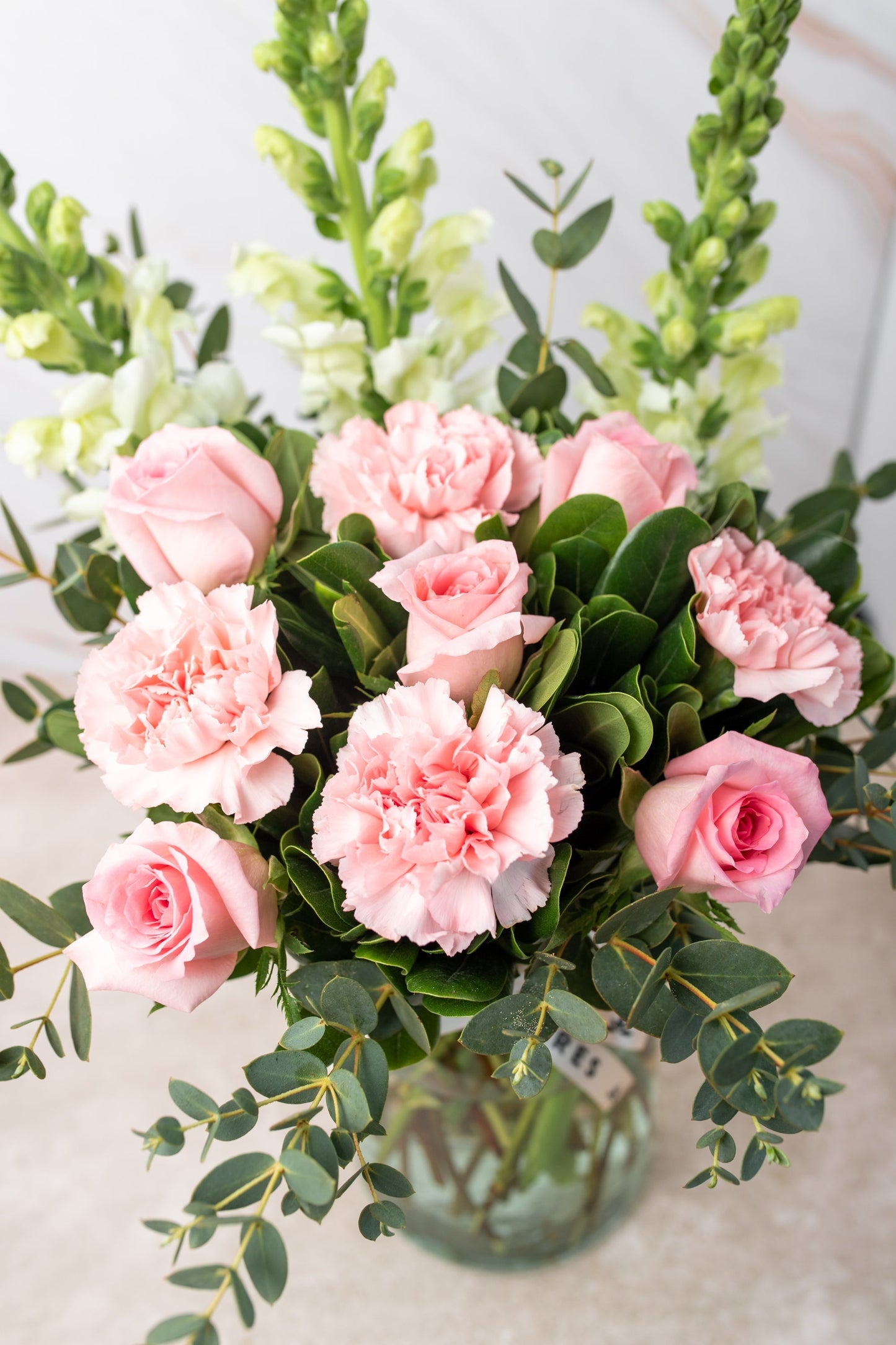 Campo Rosa MOM - Rosa Clara y Clavel Rosa CEL.