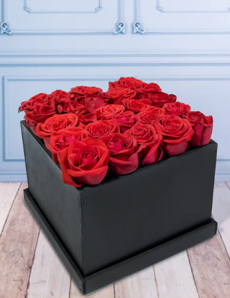 Mi Amor // Rosa Roja