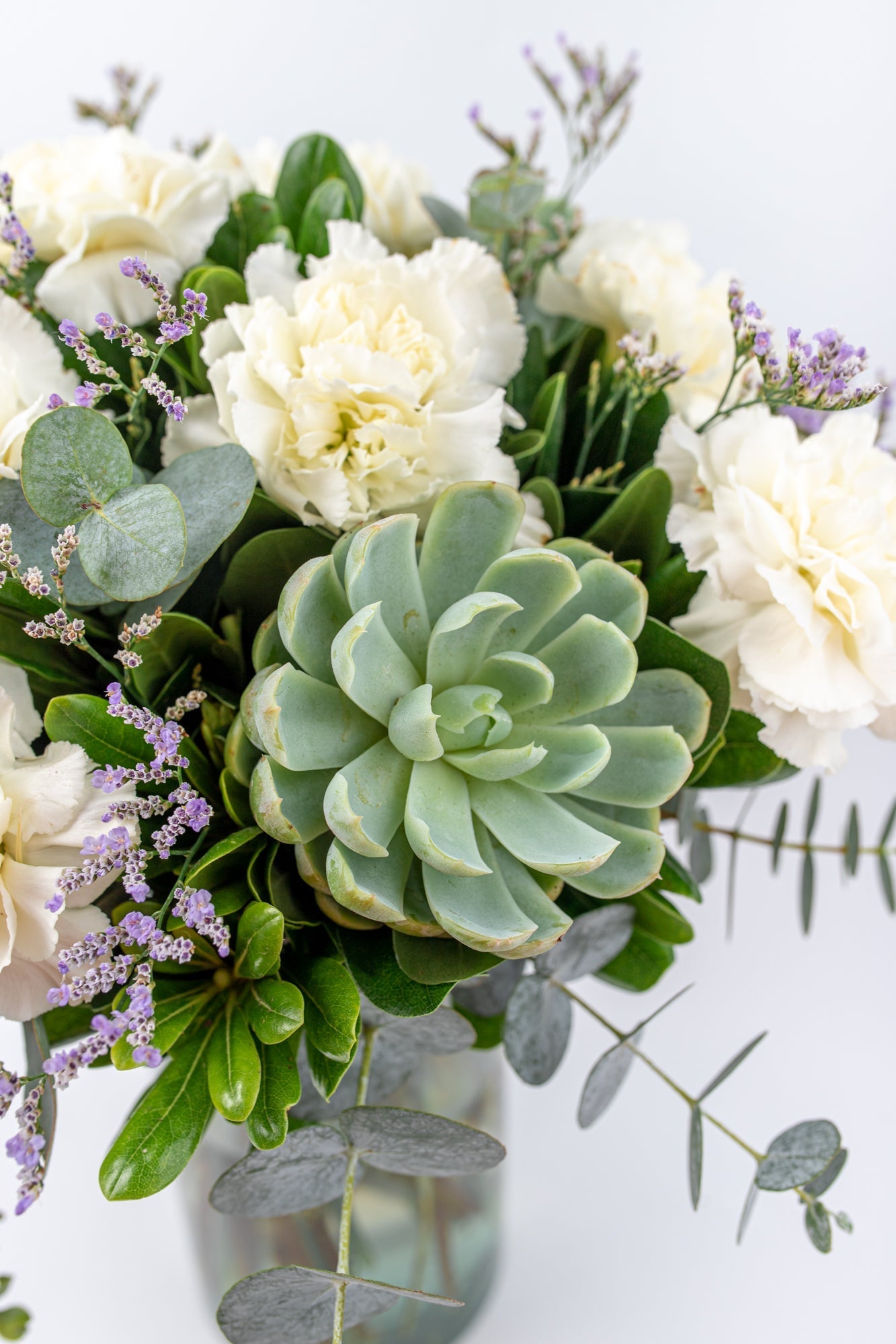Succulent // White Carnation and Succulent