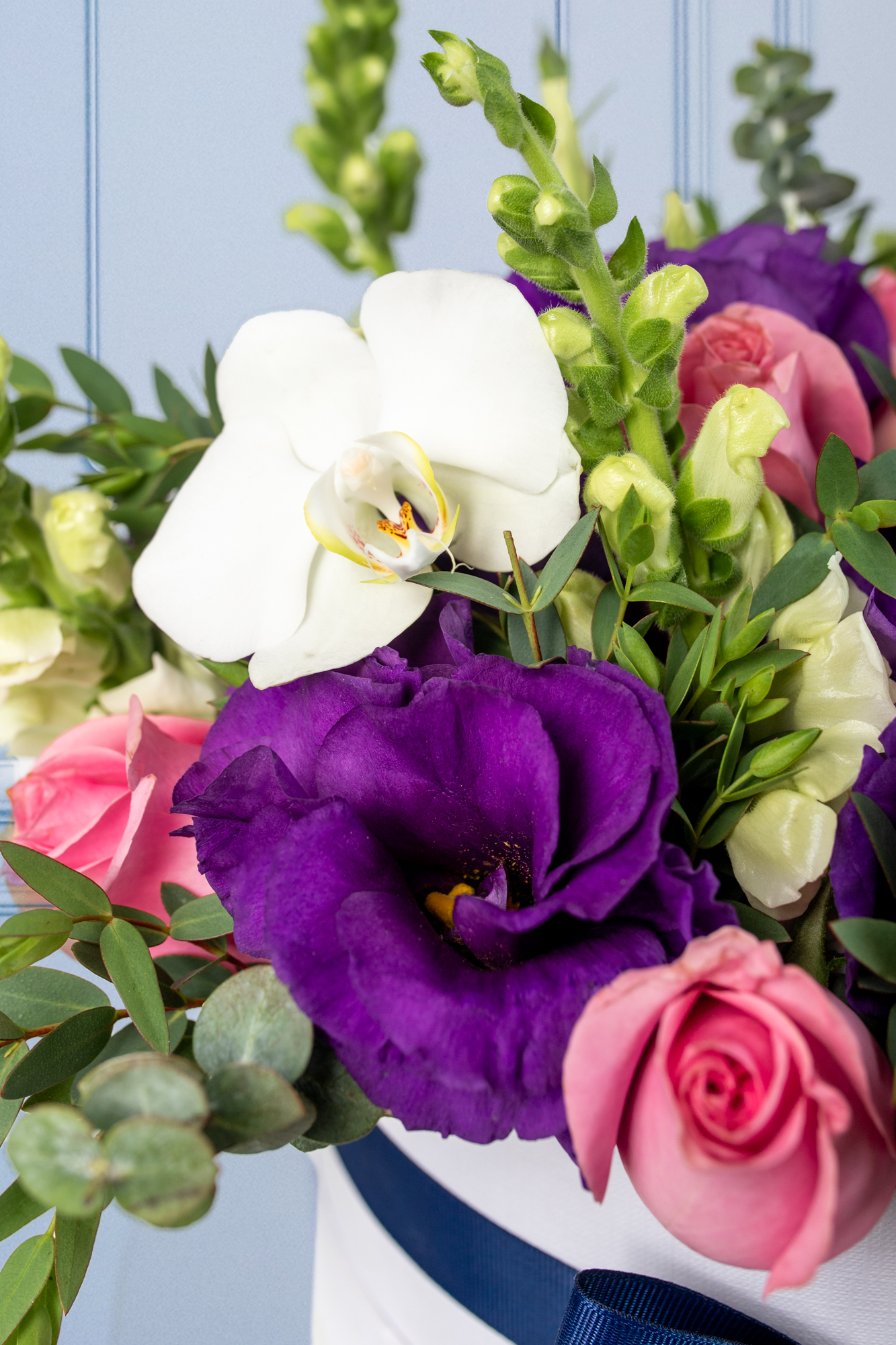 Verona - Caja de Rosas Claritas y Rojas con Lisianthus y Orquídea AGS