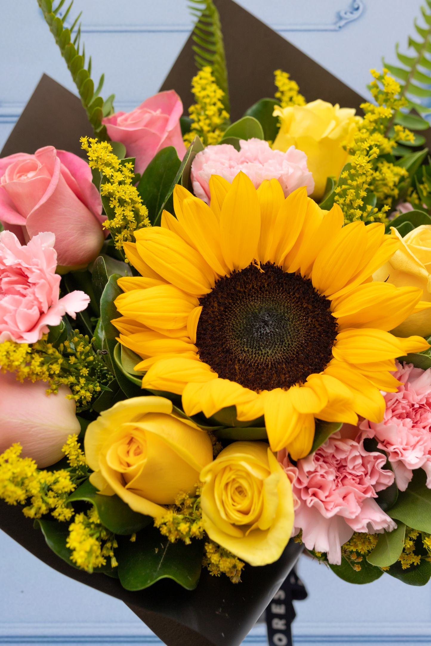 Amable - Girasol, Rosa Blanca y Clavel Rosa TGZ