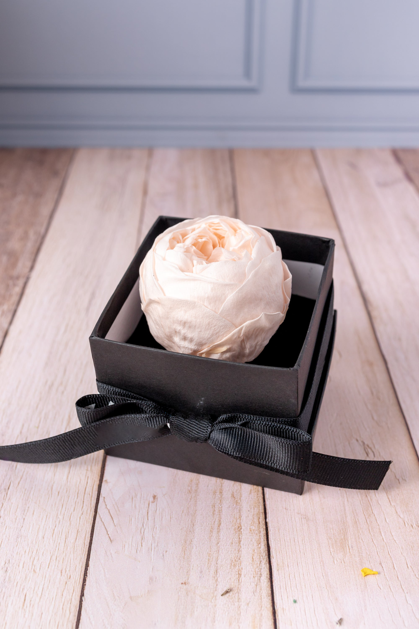 Eternal Peony - In Box
