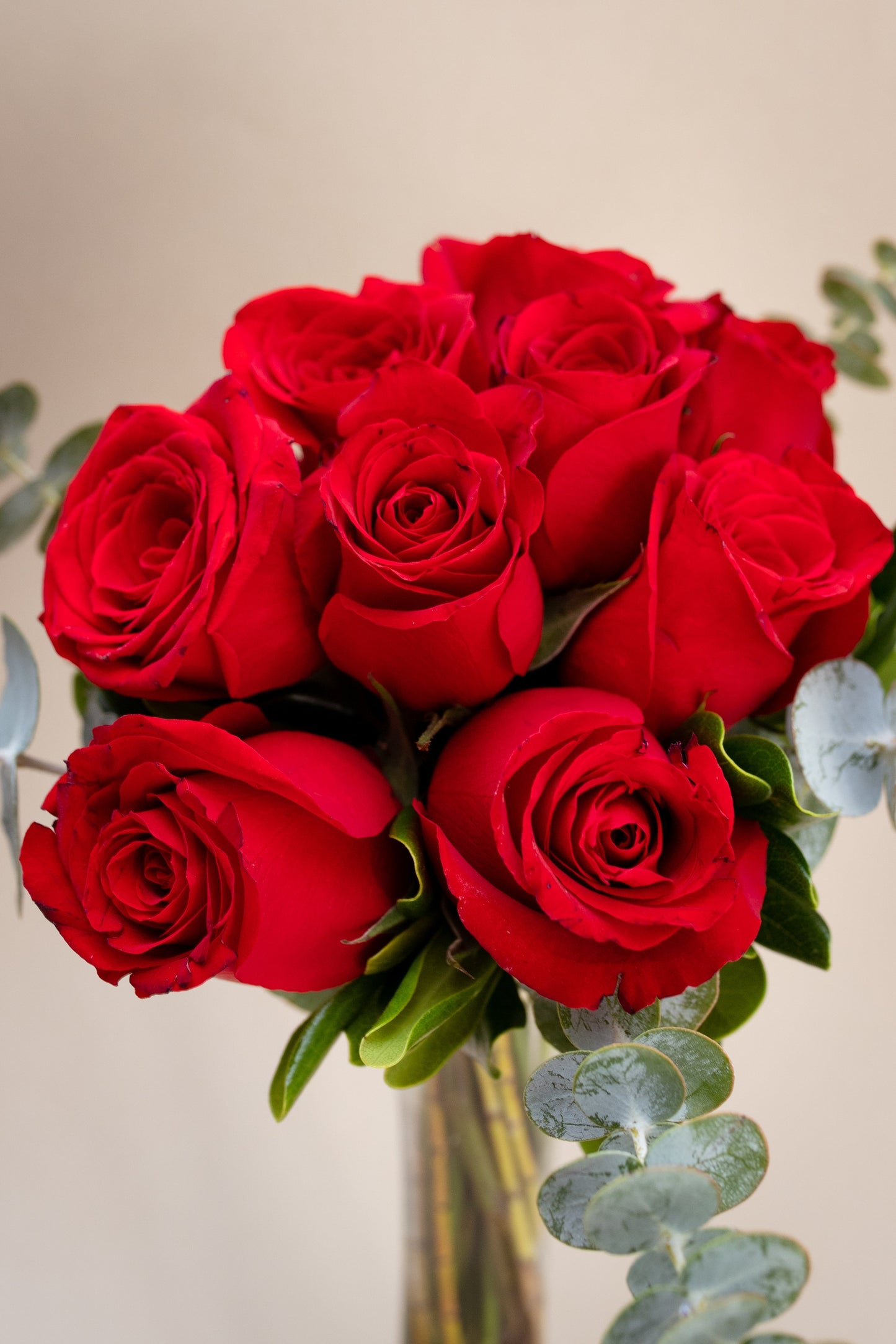 La Vida en Rosa Petite MOM - Rosa Roja CEL.