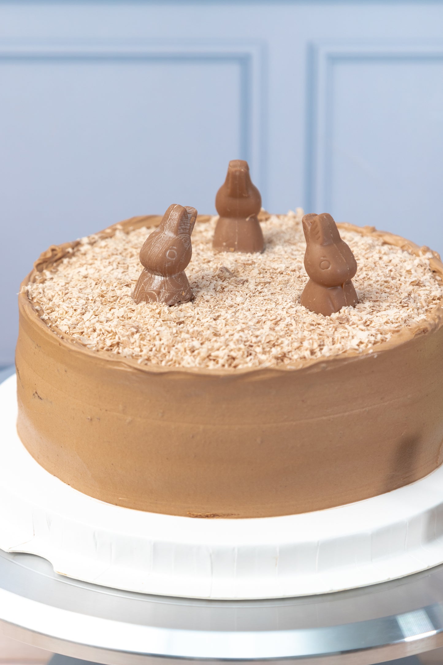 Pastel Grande de Conejito Turín - Chocolate