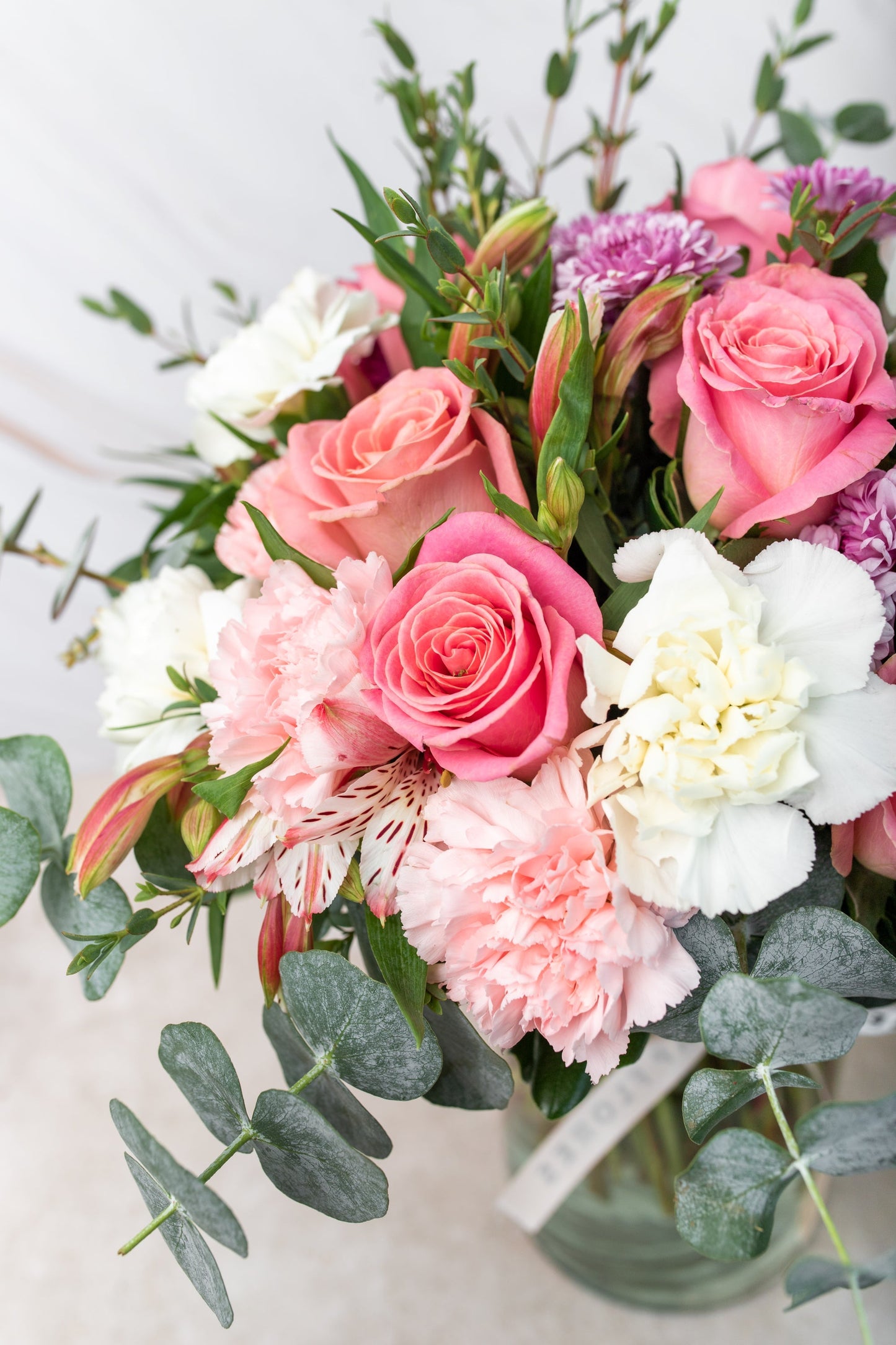 Fuego - Rosa Clarita, Clavel Rosa y Blanco XAL