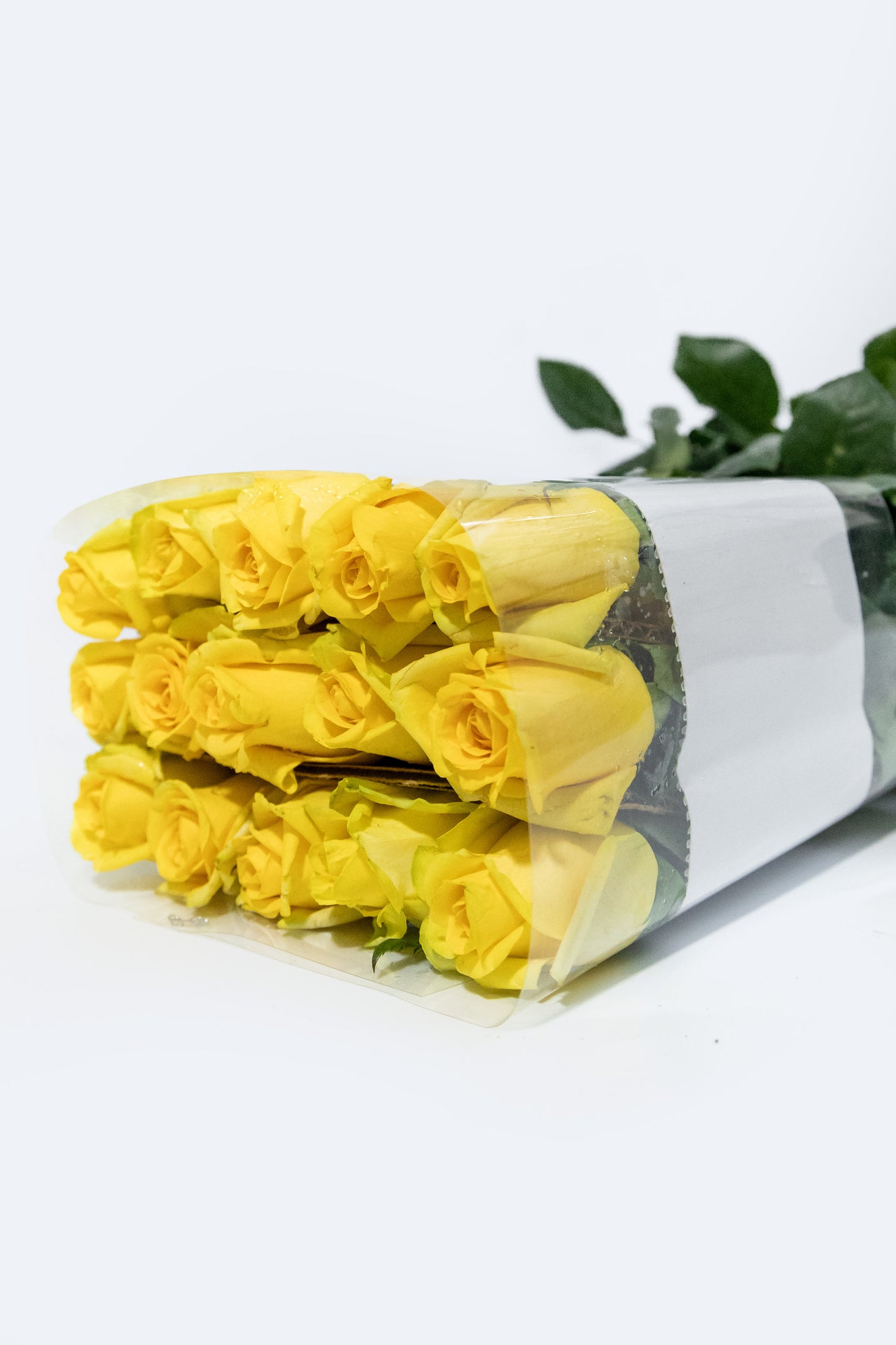 Pack of 24 Yellow Roses