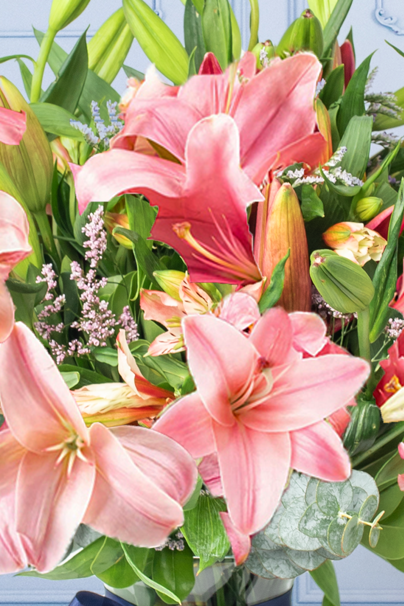Pink Panther / Pink Lilium