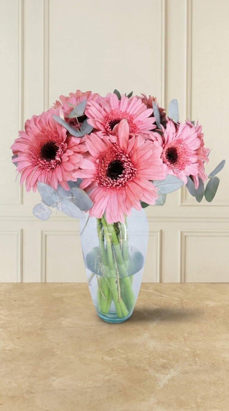 6 Gerberas Rosas - En Barcelo | MJO