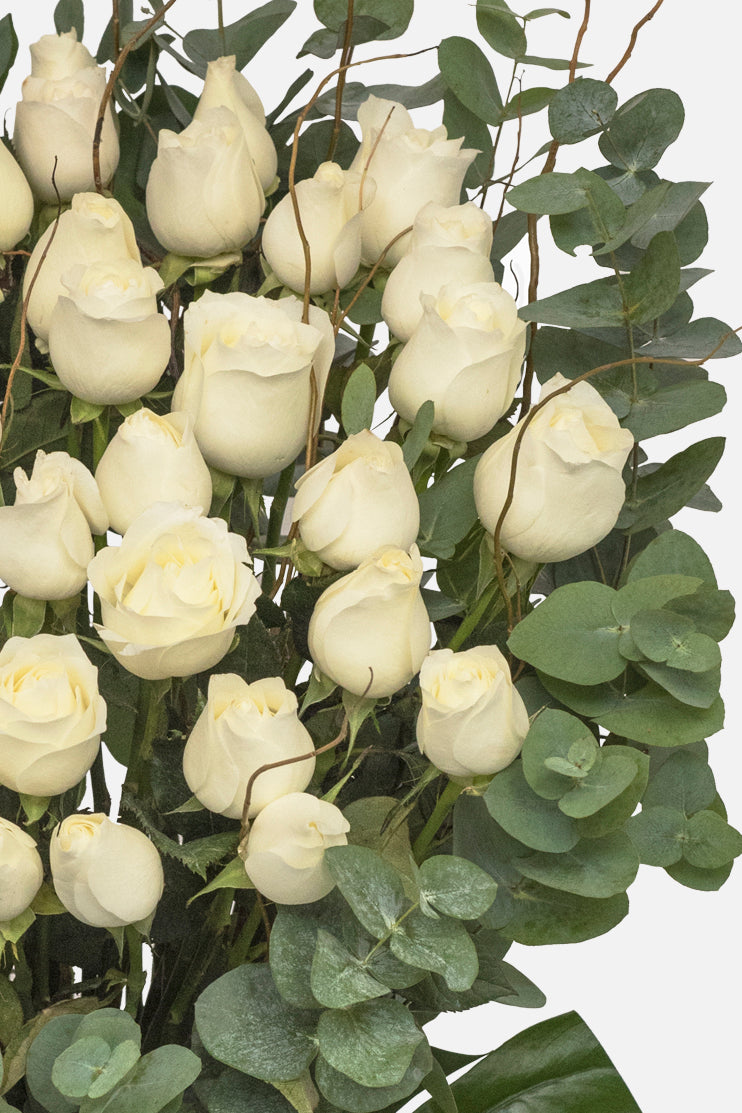 Funeral Arrangement - 50 White Roses GDL