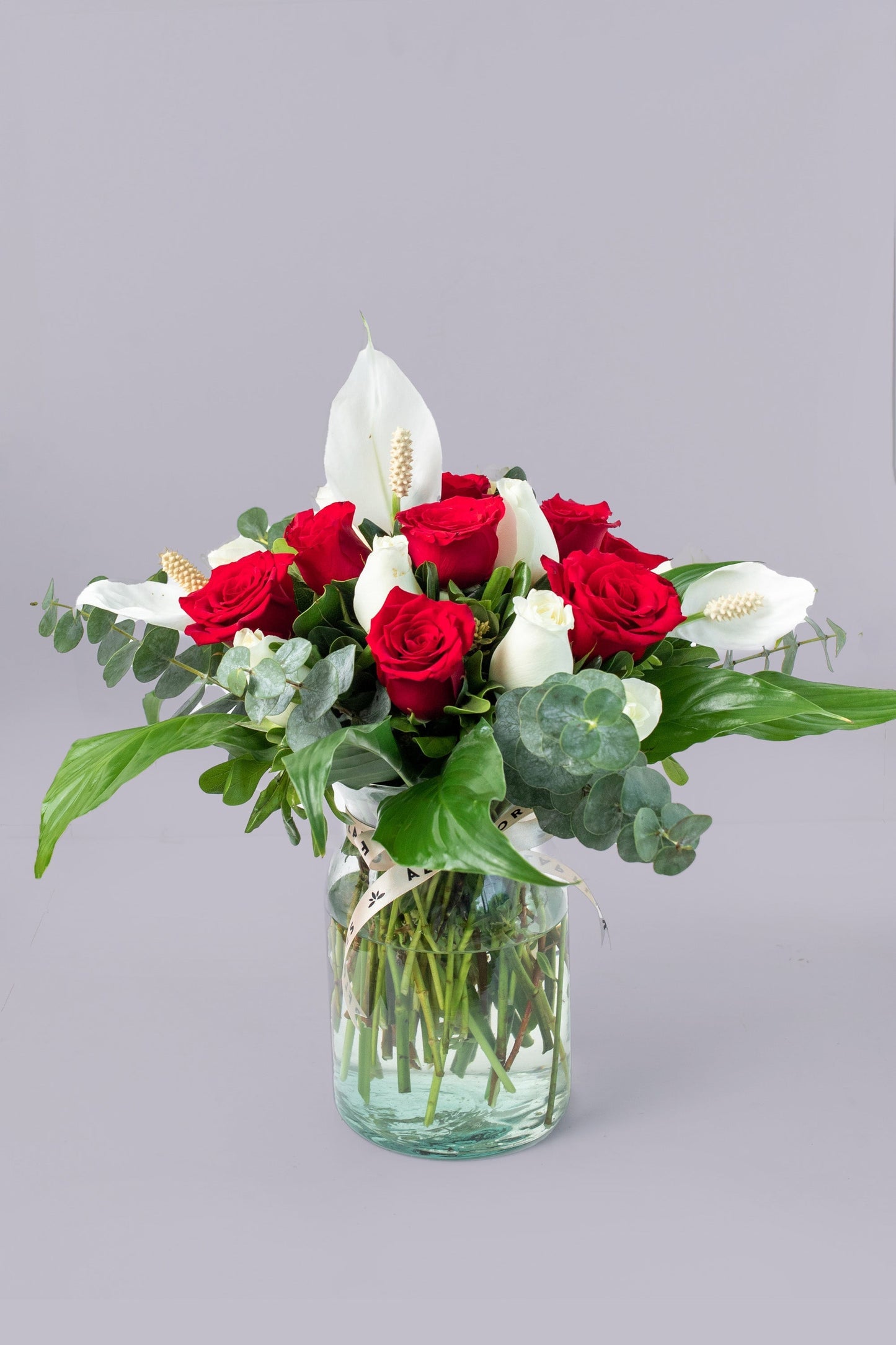 Tropical Air // Red and White Rose with Moses Cradle