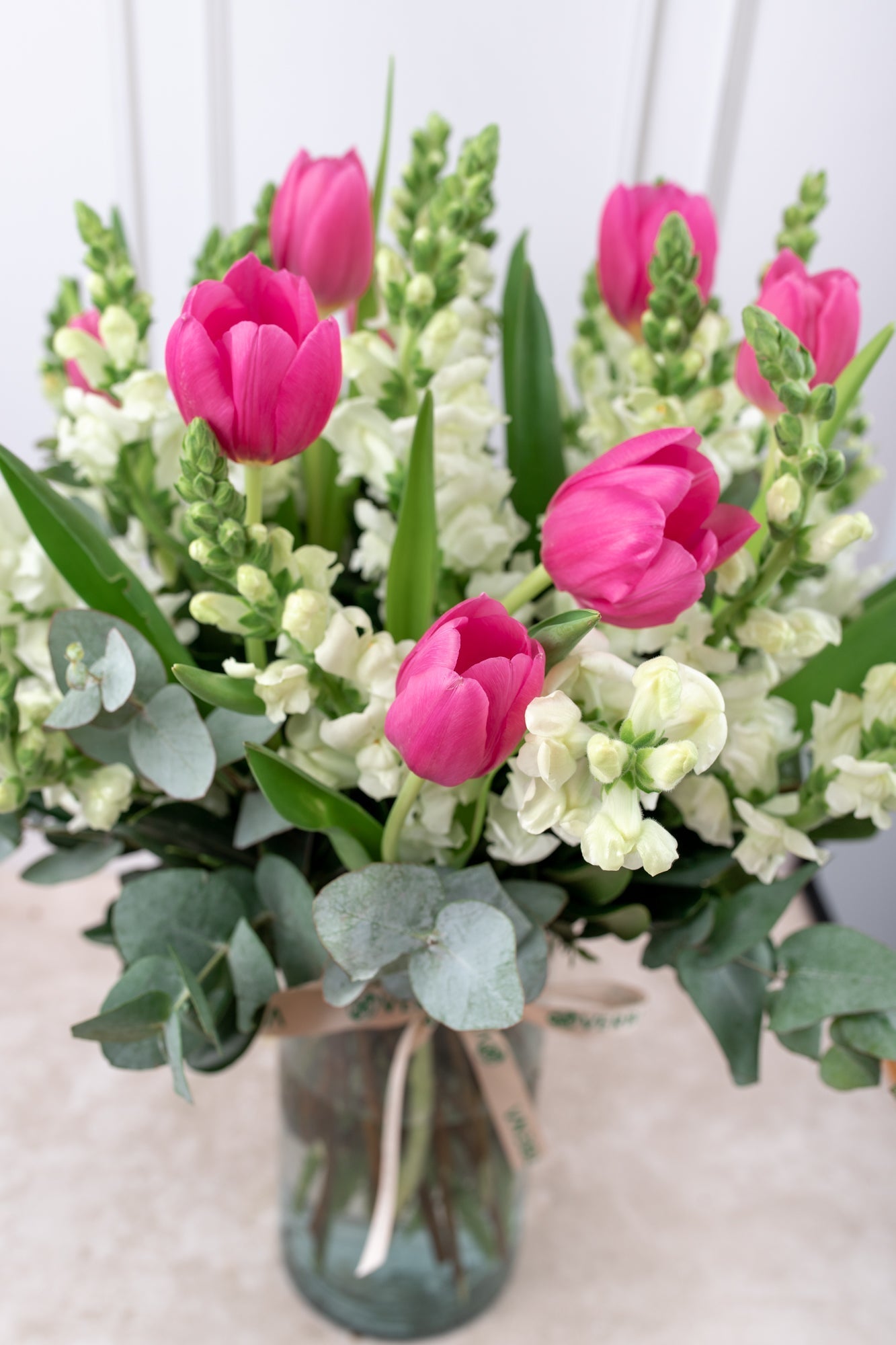 Winds of Holland / Tulip and Little White Dog