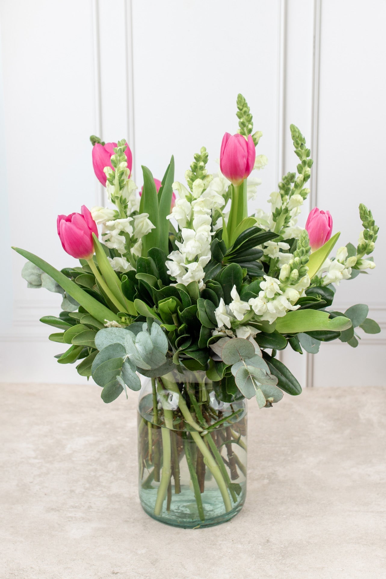 Airs of Holland - Tulip and White Dog