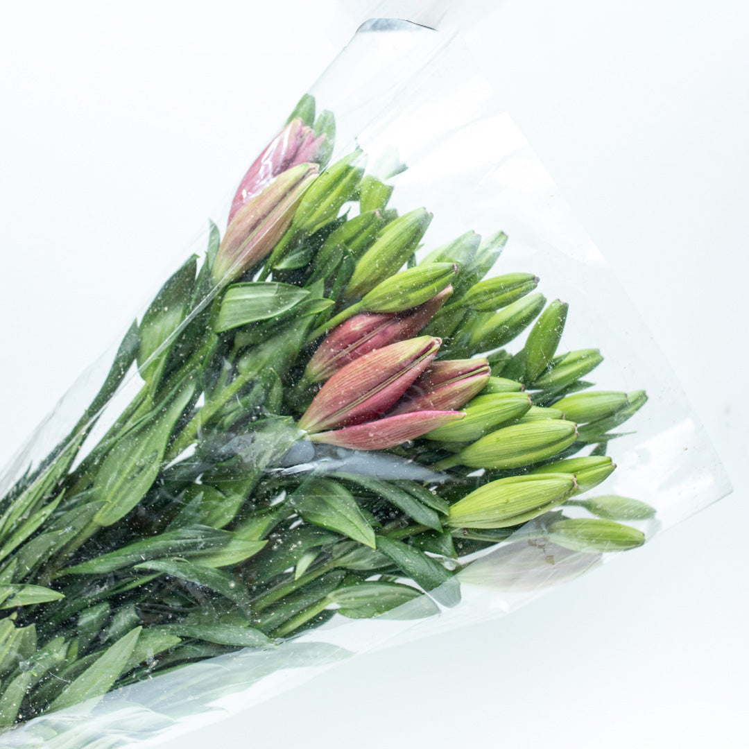 Pink Lilium Package