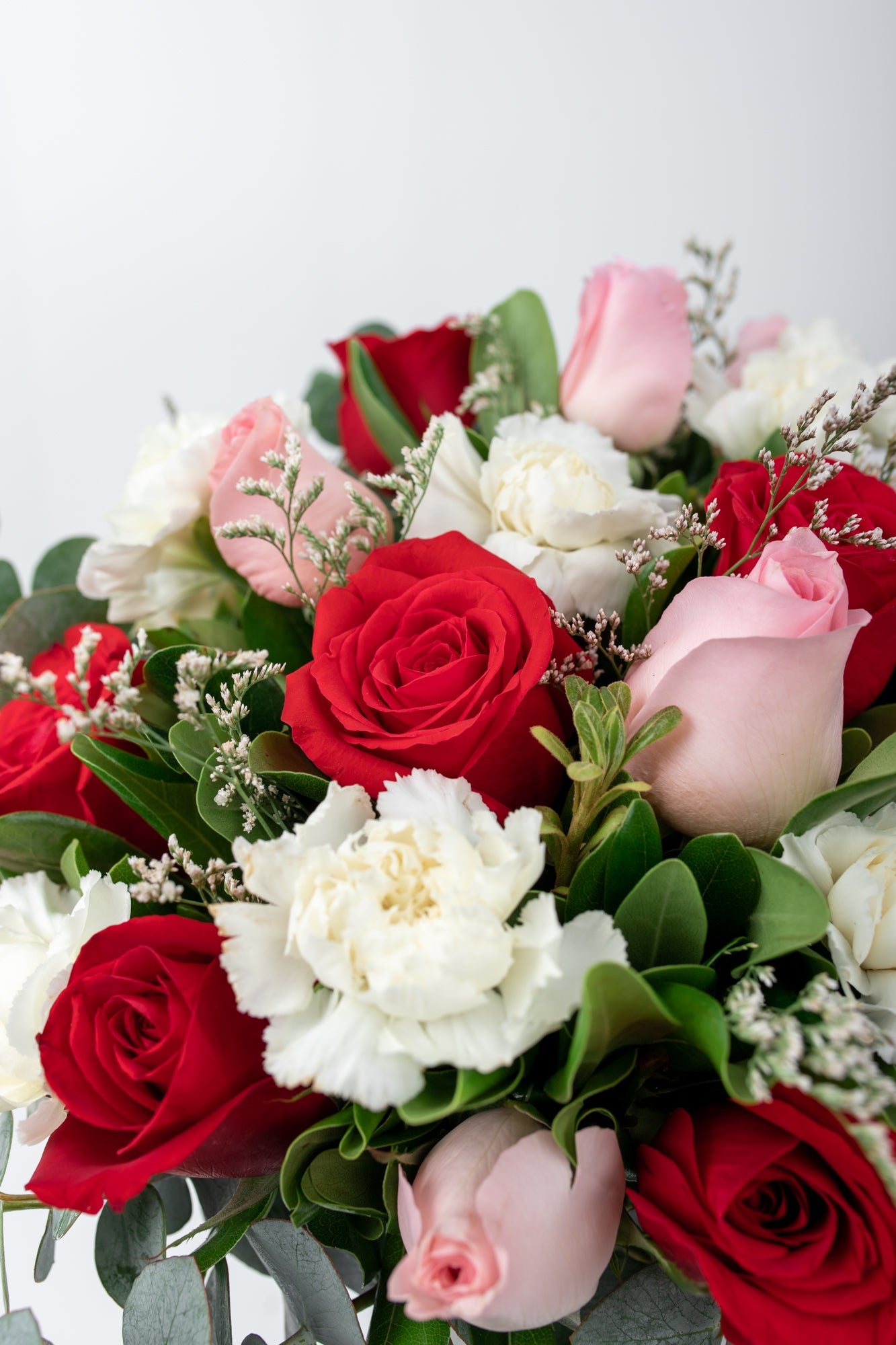 Maria Felix / Red Rose and Clarita Rose