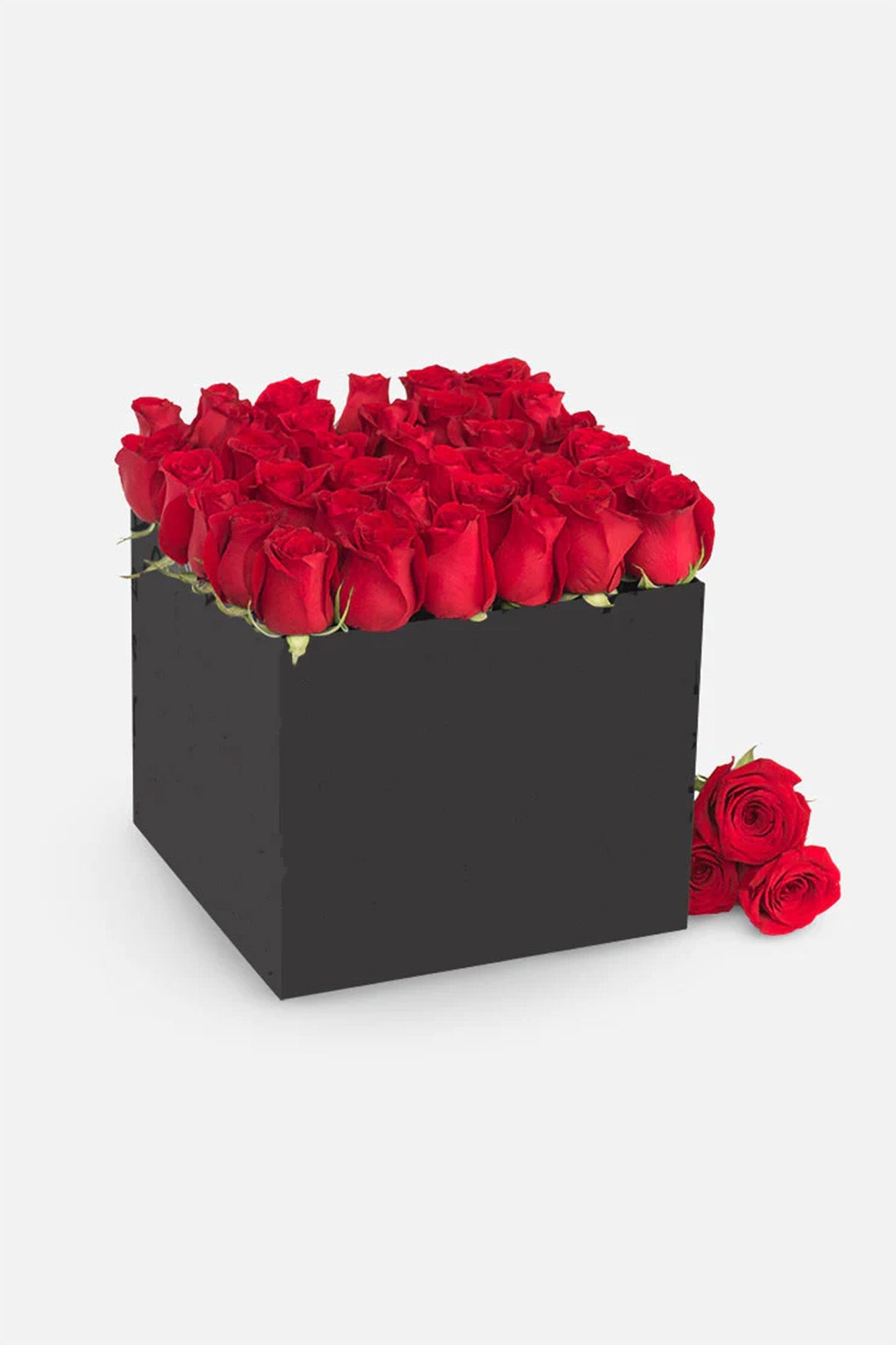 Mi Amor - Caja Rosas Rojas TJ