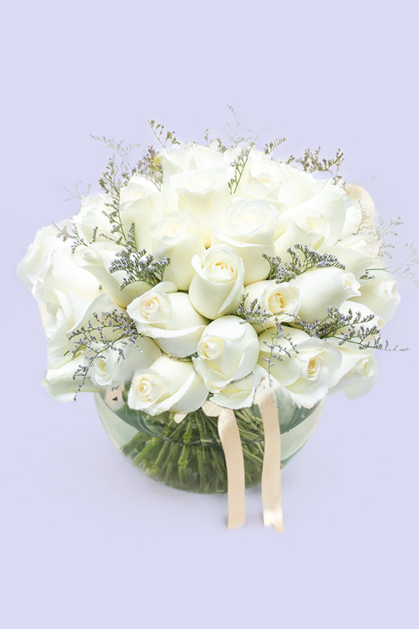 Forever - White Rose in a Fishbowl