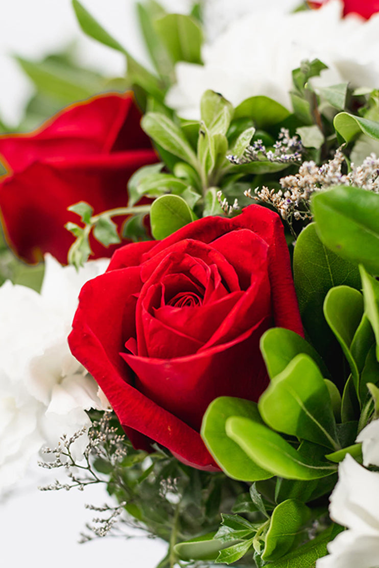 Ceiling / Red Rose and White Carnation