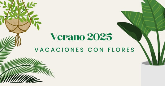 Verano 2025: vacaciones con flores