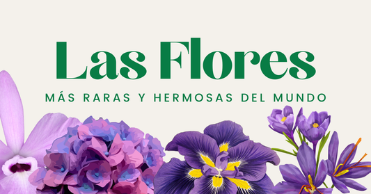 Las Flores mas Raras y Hermosas del Mundo