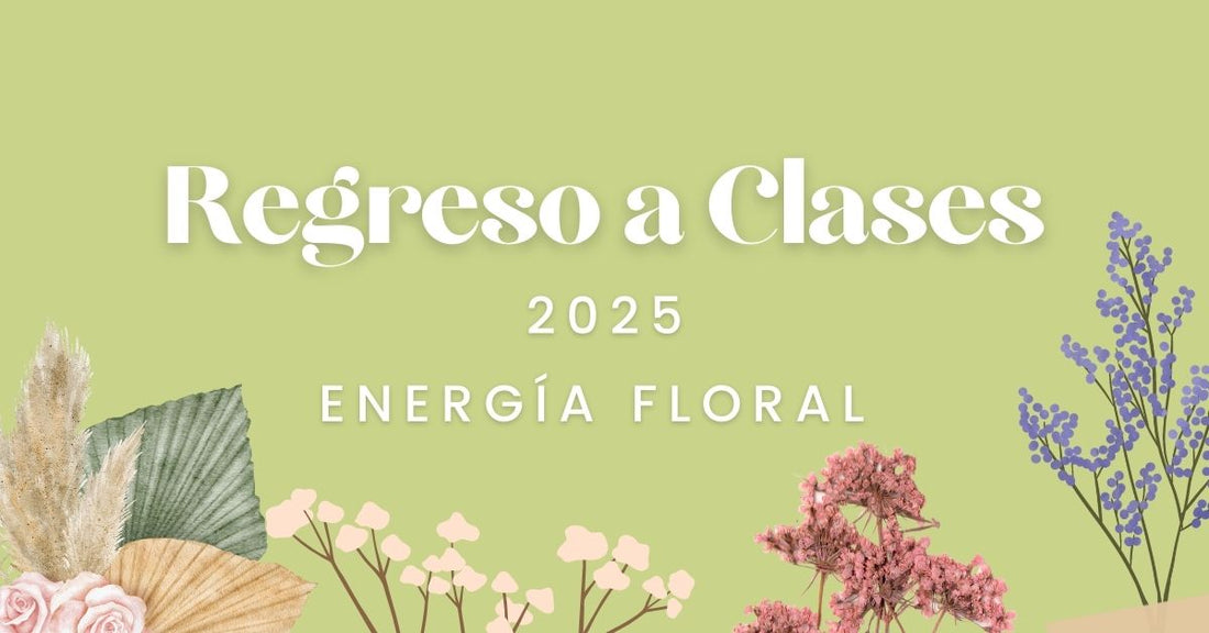 Regreso a clases 2025: energía floral