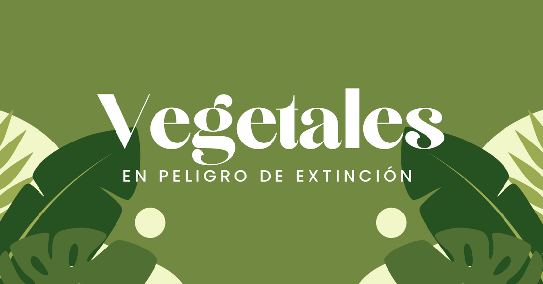 Vegetales en Peligro de Extinción