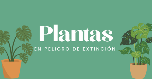 Plantas en Peligro de Extinción.