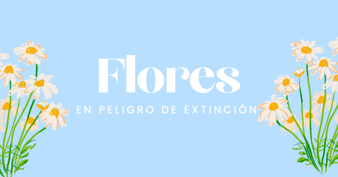 Flores en Peligro de Extinción