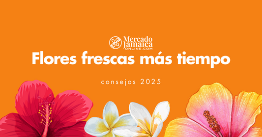Flores frescas más tiempo: consejos 2025