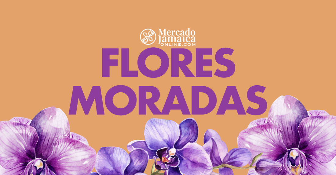flores moradas