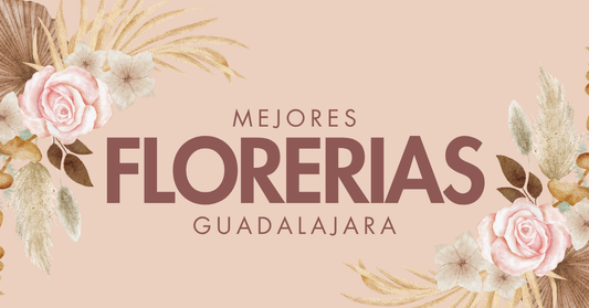 mejores florerías en Guadalajara