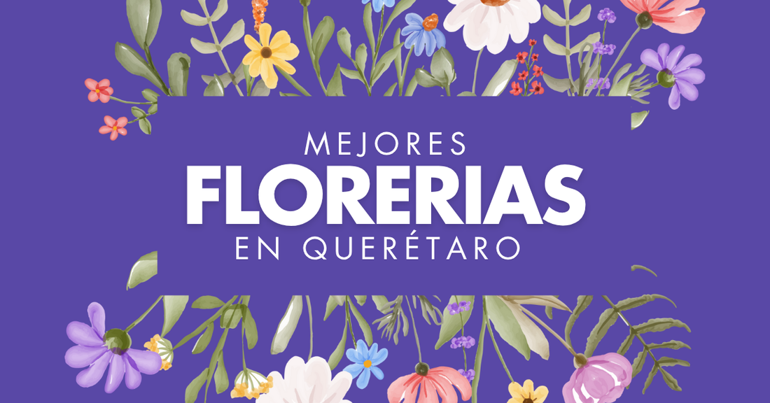 mejores florerías en Querétaro