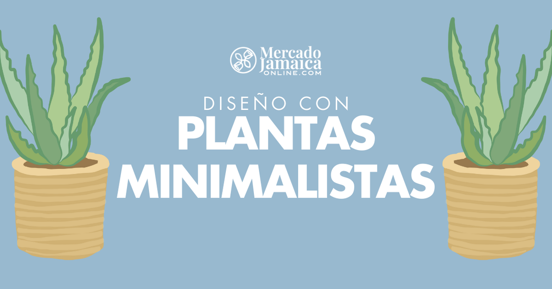 plantas minimalistas