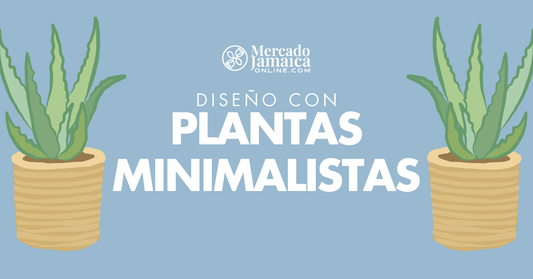 plantas minimalistas