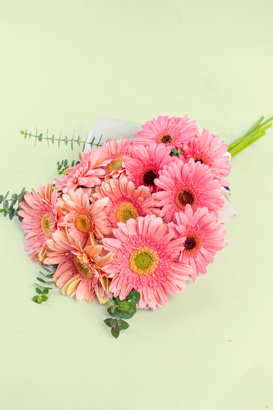 Ramo 12 Gerberas - Envoltura Yute AGS