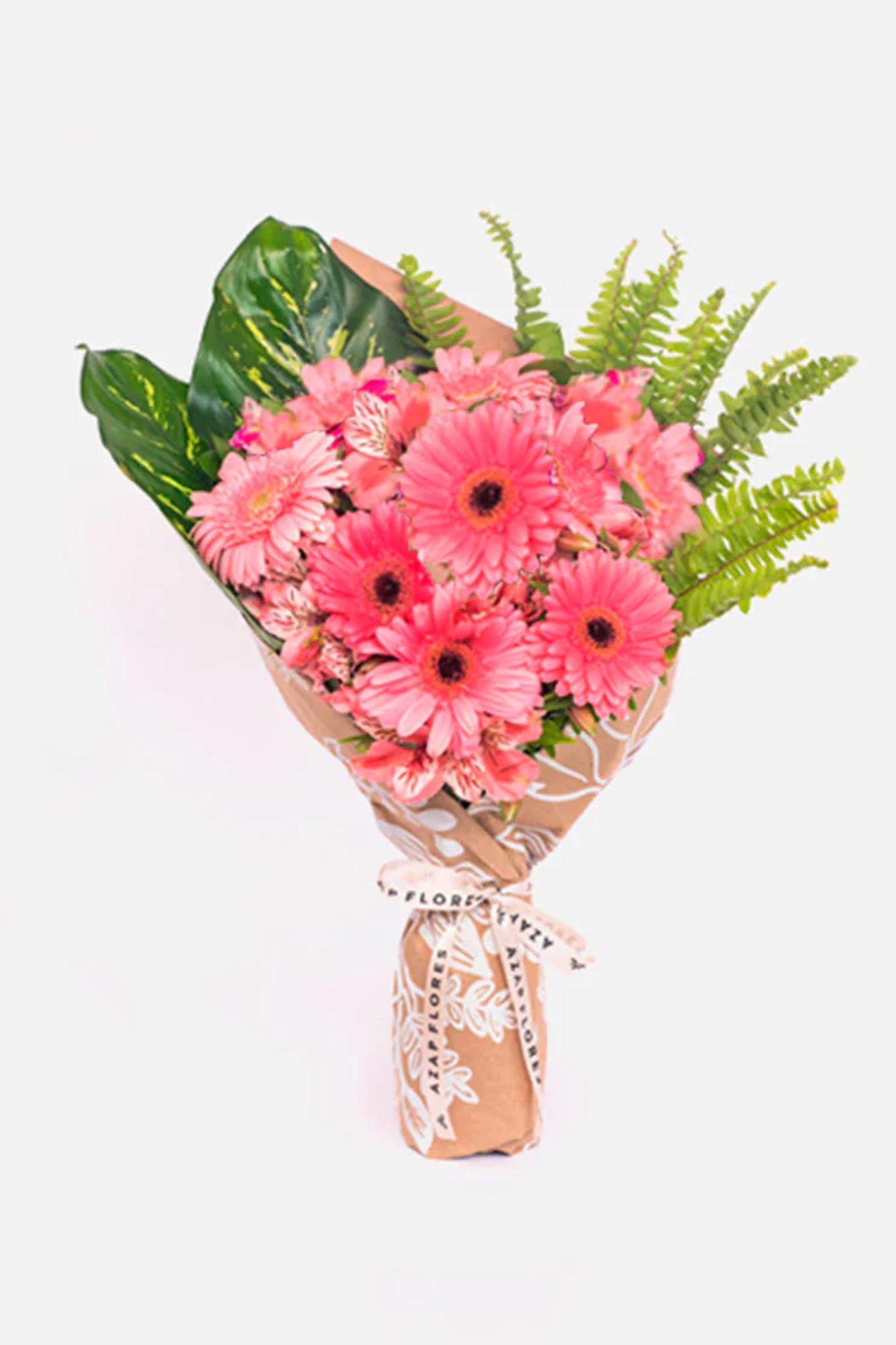 Inocencia - Gerbera Rosa OAX CENTRO