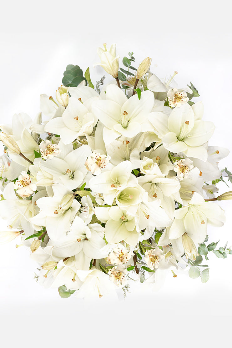 Algodón // Lilium Blanca y Astromelia Blanca APO
