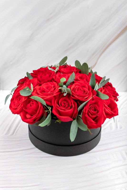 Catarina // Caja Rosas Rojas APO