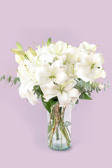 Casa Blanca - Lilium Blanca XAL