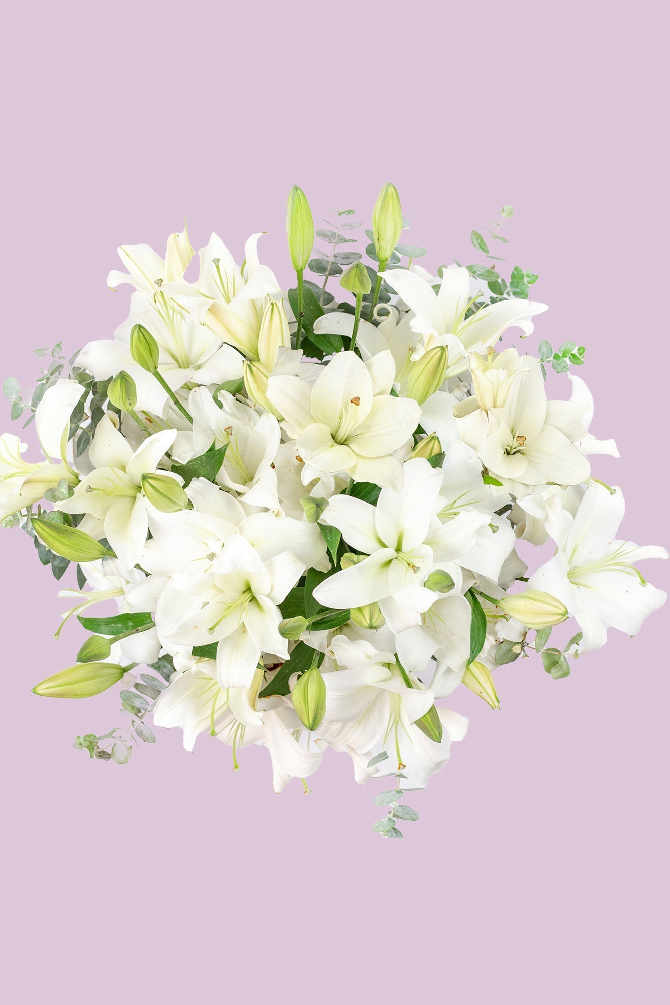 Casa Blanca - Lilium Blanca PTO. ESCOND.