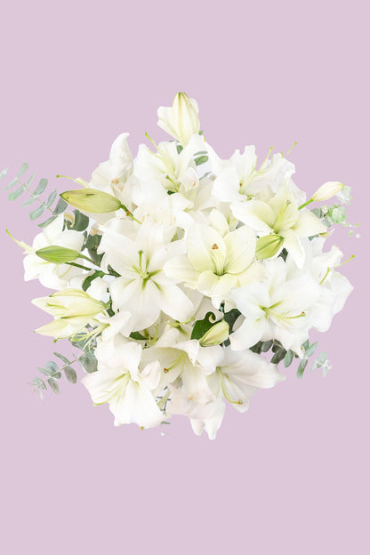 Casa Blanca - Lilium Blanca OAX CENTRO