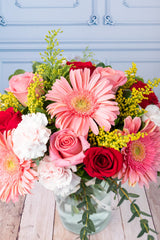 Colores Alegres - Gerbera Rosa, Rosa Roja y Clarita VILLA