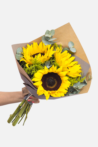 Forelsket - Girasoles ENS