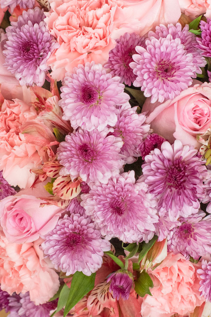 Ternura - Rosa, Clavel y Astromelia Rosa XAL