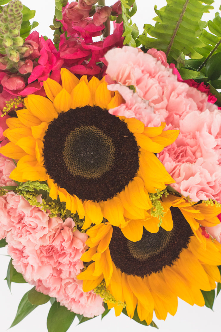 Feliz Día // Girasoles y Claveles Rosas