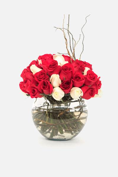Burbujas de Amor - Rosa Roja y Blanca CEL.