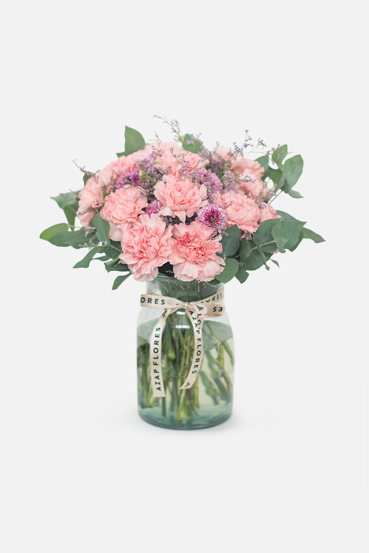 Campo de Claveles - Flores TGZ